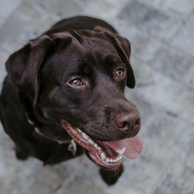 Riya Kapoor, Client Relations Director, discussing corporate gifting strategy with business clients