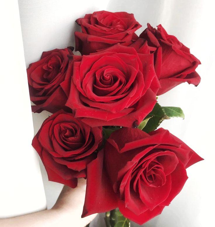 Maple Bloom Haven workshop space where corporate flower arrangements are designed and prepared for business delivery